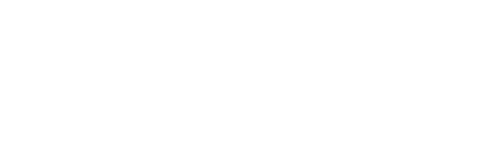MetaDEX White Logo